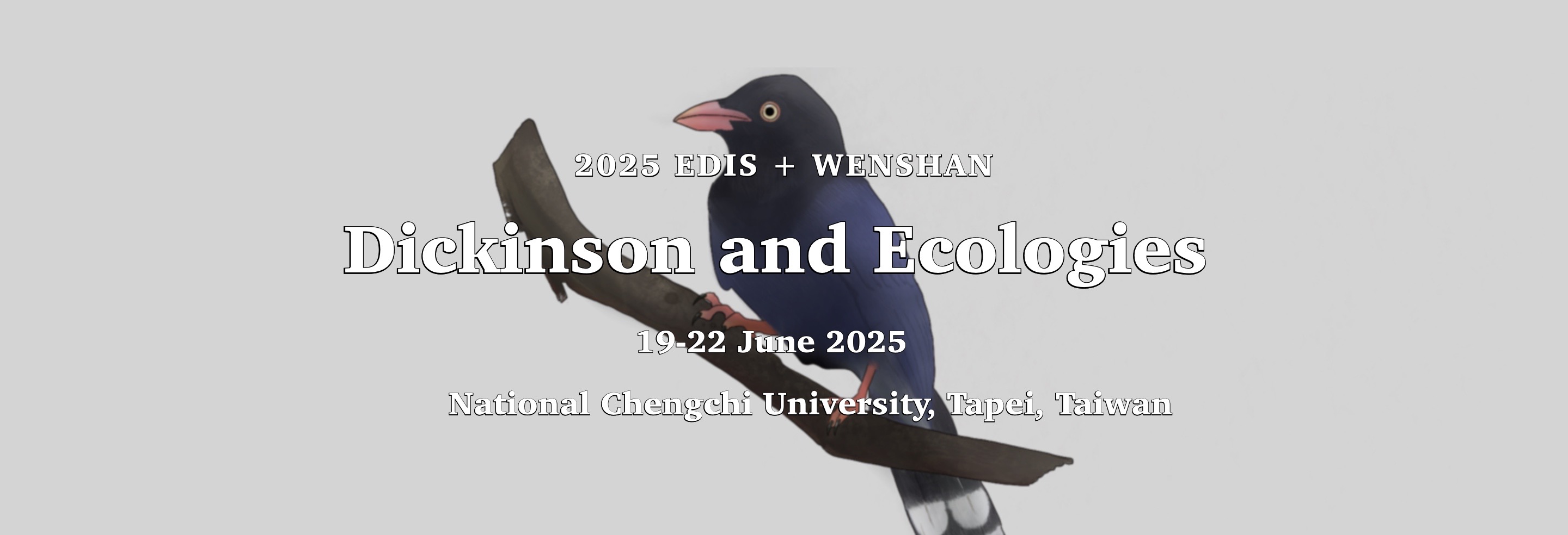 2023 Wenshan Interantional Conference: Imaging Acr